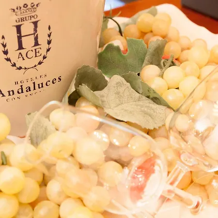 酒店 赫雷斯别墅酒店 5*