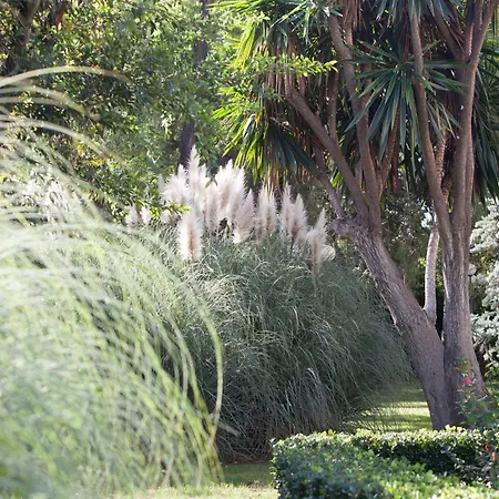 赫雷斯别墅酒店 赫雷斯