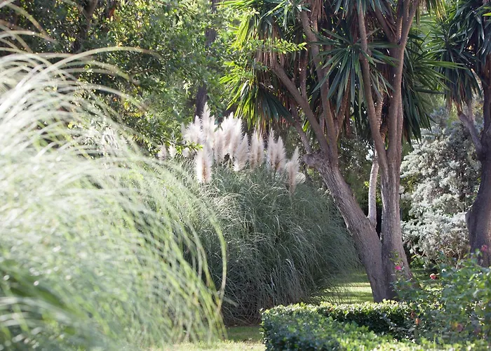 Jerez Jerez de la Frontera